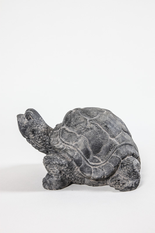 Schildkröte grau 20 x 13 cm